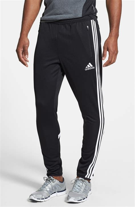 Training Pants Adidas 